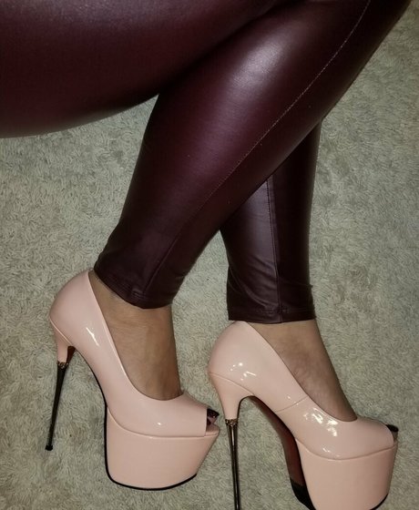 Dani Lee アートスター ギャラリー