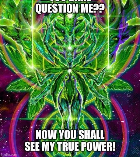 Penny Brown 完璧なスター ギャラリー