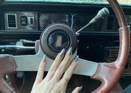 rosemarine HDスター 写真