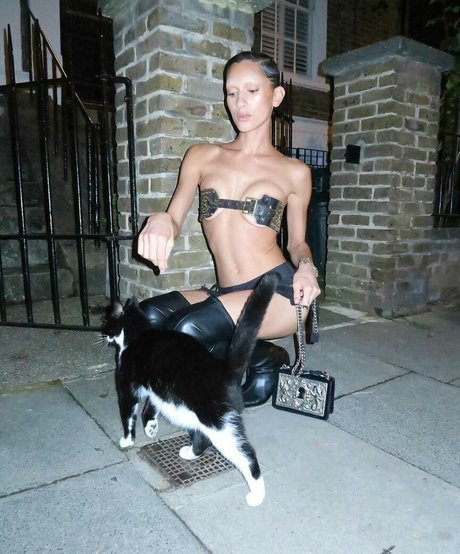 Manahou Mackay アートモデル 写真