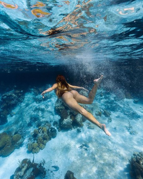 Alexa Dellanos 限定スター 画像