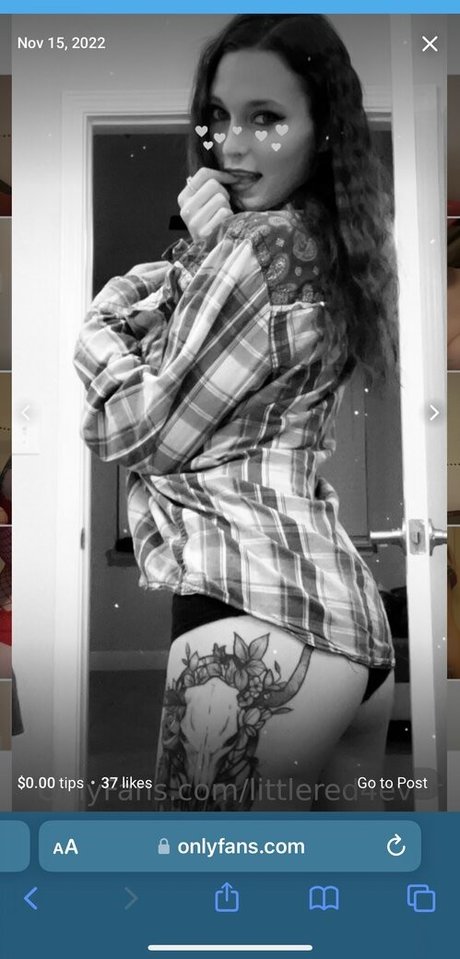 Littlered4ever 美しいポルノスター 画像