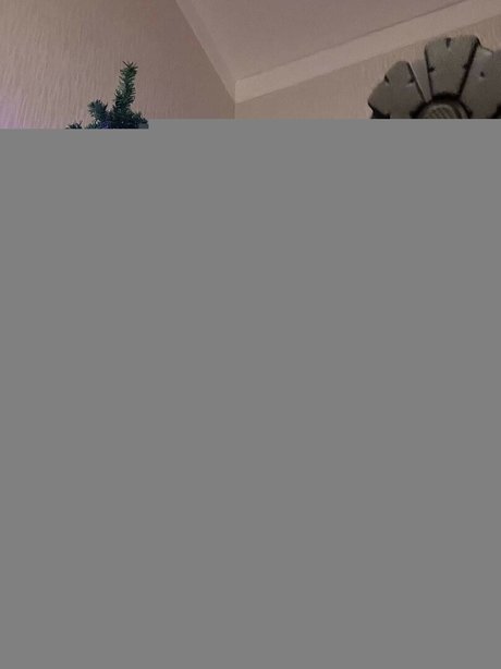 ゲイの若いOnlyFans 美しい 画像