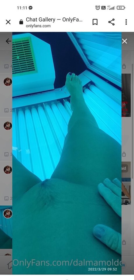 Dalmamoldovan ホットモデル 写真