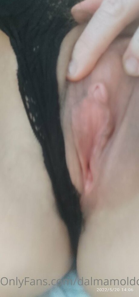 Dalmamoldovan 最高のスター 写真