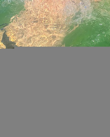 Sirenkahls かわいいスター ギャラリー