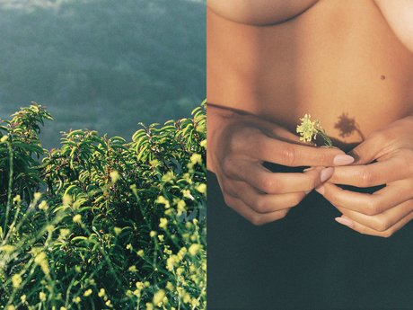 毛深いBBW OnlyFans 美しい裸 画像