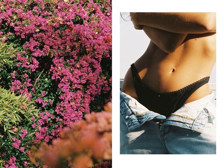 Alyssa Lynch 完璧なスター 写真