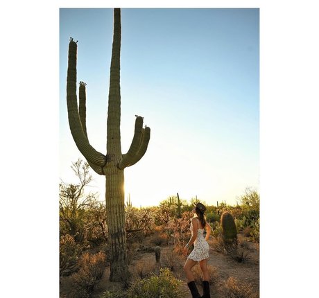 リップスオンリーファンズ ベスト アーカイブ