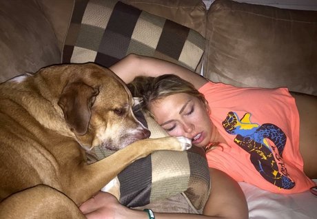 Senator Lauren Book ホットスター アーカイブ