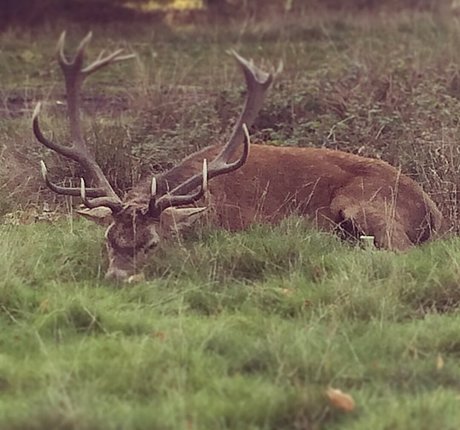 Kirsty Eccleston トップスター 写真