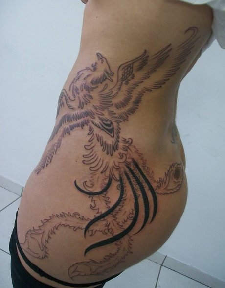 Carina Rosa profile image