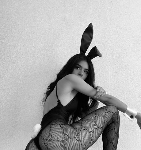 daaisygz ホットスター 画像