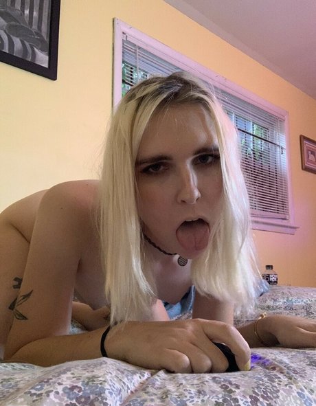 Aliss Disaster 高品質スター 画像