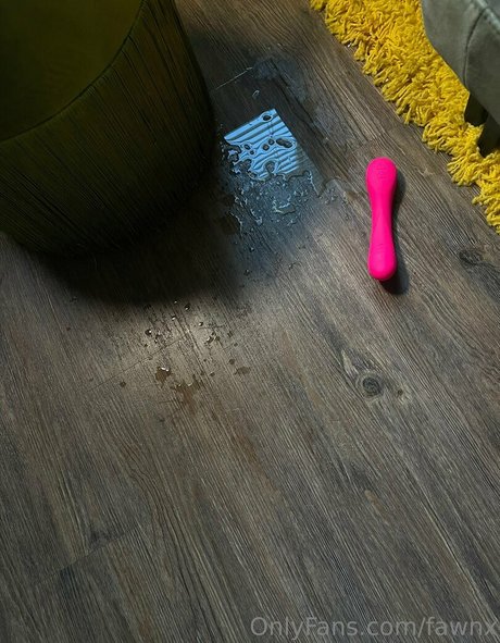 Fawnx HD女優 写真