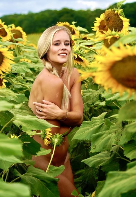 LaurenAnn 美しいポルノスター 写真