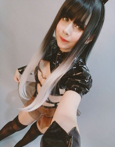 whiterabbit exe モデル 写真