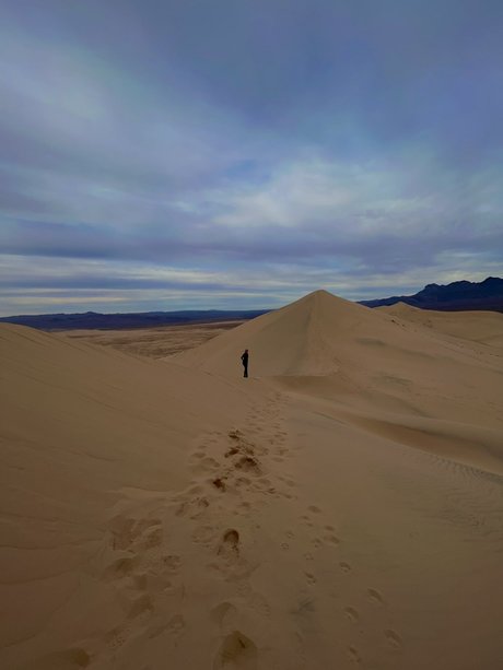 公共の場での猫のOnlyFans 無料xxx ギャラリー