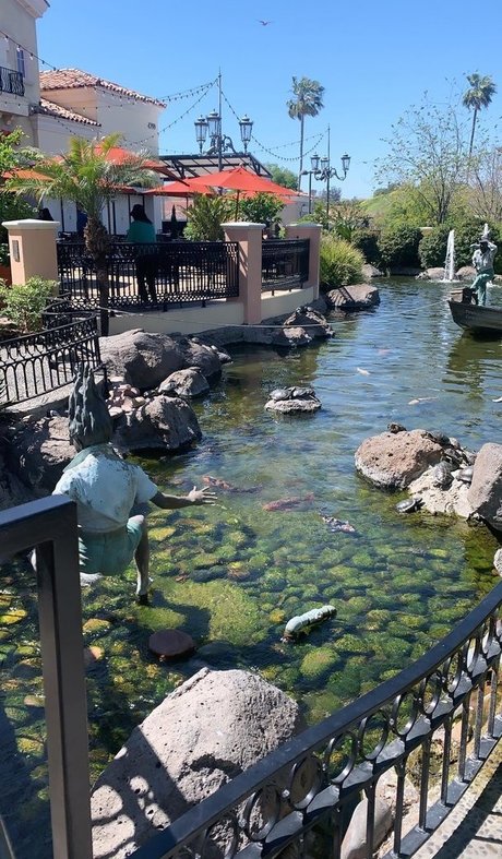 Tiona Fernan 完璧なポルノスター 写真