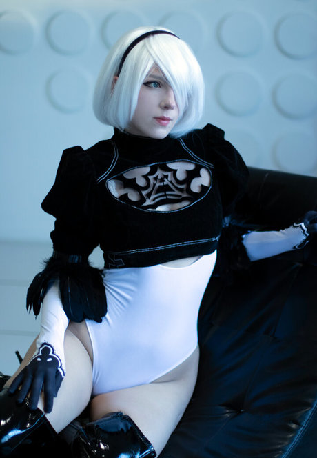 Takeomeow かわいいスター 写真