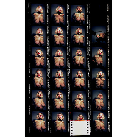 Elle Brittain 美しいスター アーカイブ