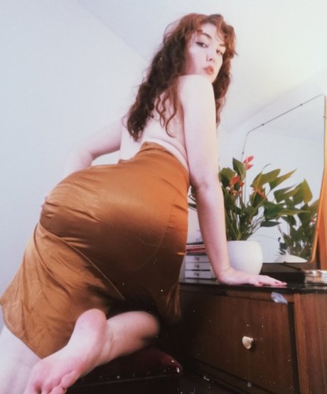 Dinky Demure 限定スター ギャラリー