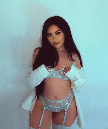 Champggne 完璧なスター 画像