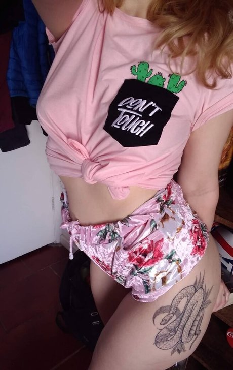 The alinger ホットなスター 写真