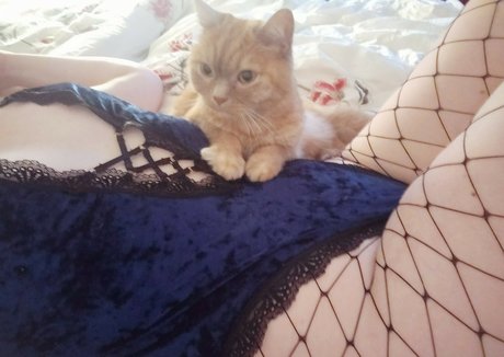 Shannanina 美しいポルノスター 写真