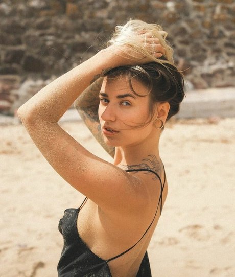 pandatylr スター 写真