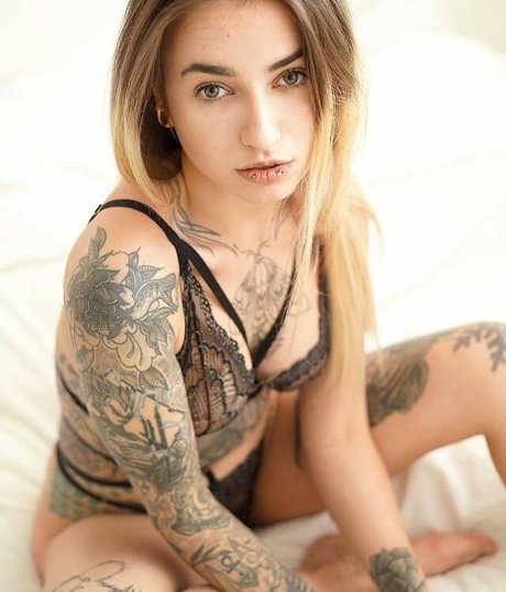 pandatylr アートポルノスター 画像