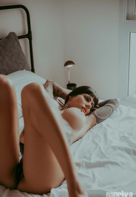 自然のみファン 素敵 画像