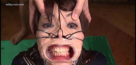 milky cat スター 写真