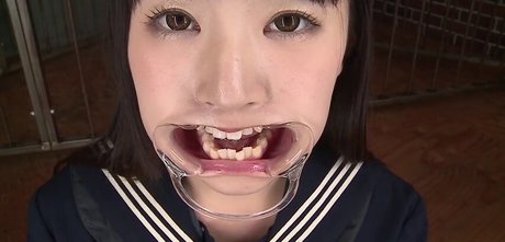 milky cat 美しいモデル 写真