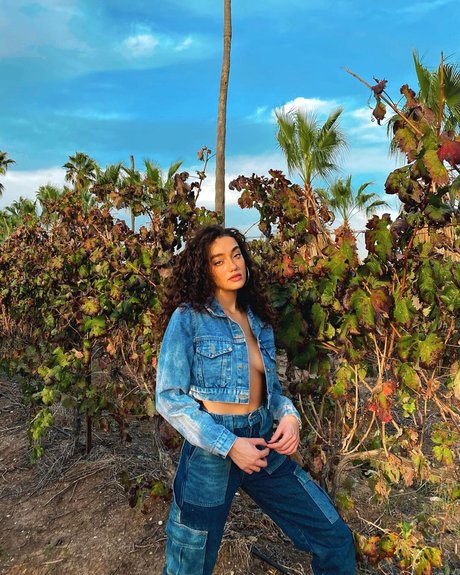 Liraz Nomdar xxxポルノスター 写真