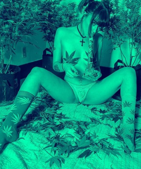 Amethyst queen19 ポルノスター 写真