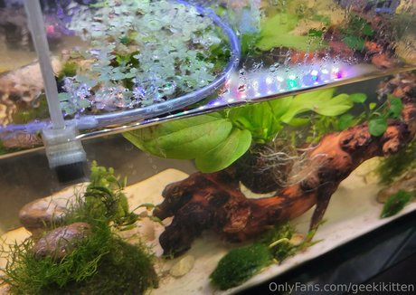 ぽっちゃり痴女OnlyFans 無料裸 画像