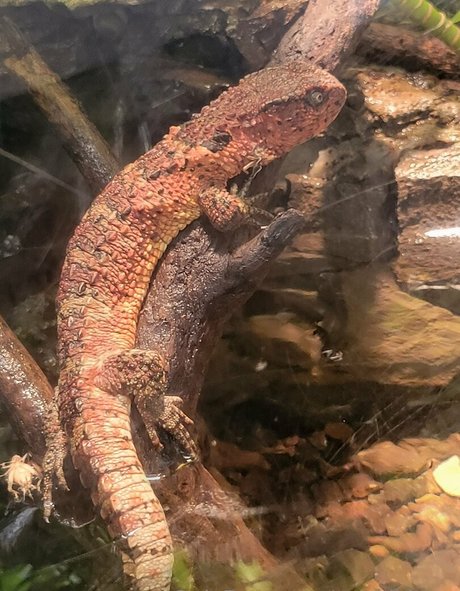 アマチュアOnlyFans xxx ギャラリー