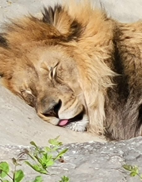 自然のみファン 無料セクシー 写真