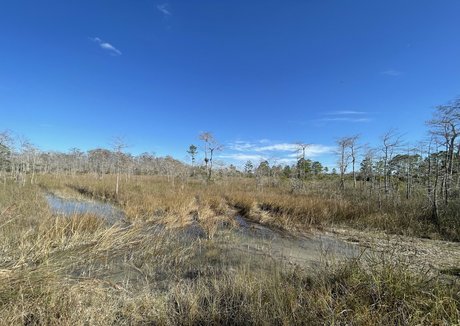 iambigduch ヌード女優 画像