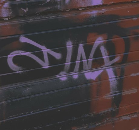 lewdology セックス女優 画像