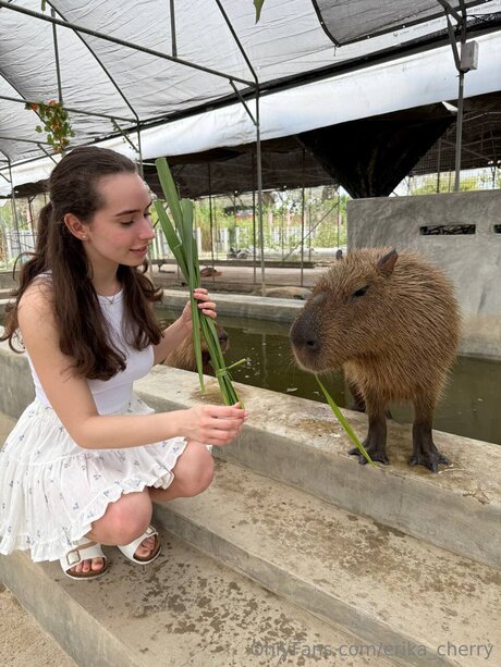 erika cherry 美しいスター 画像