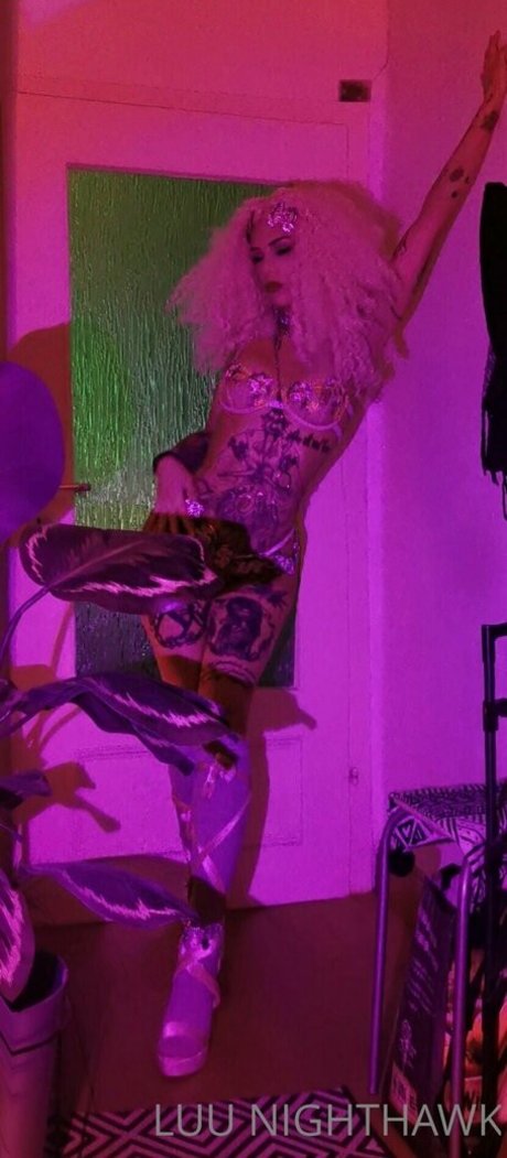 luu nighthawk モデル ギャラリー