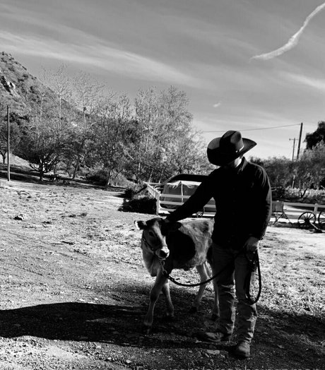 amanbeingaman ポルノモデル 写真