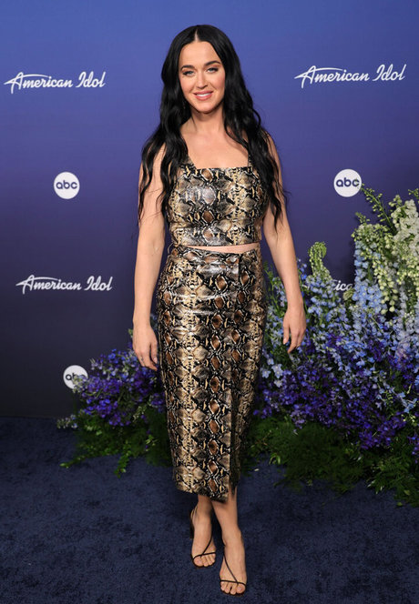 Katy Perry 高品質モデル 写真