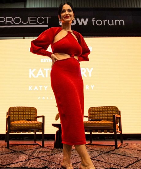 Katy Perry ポルノスター アート 写真