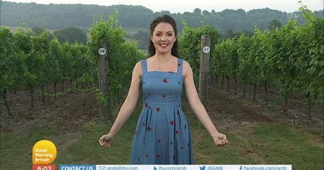 Laura Tobin ポルノスター アート 写真