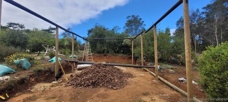 公共の場での猫のOnlyFans アートxxx 写真