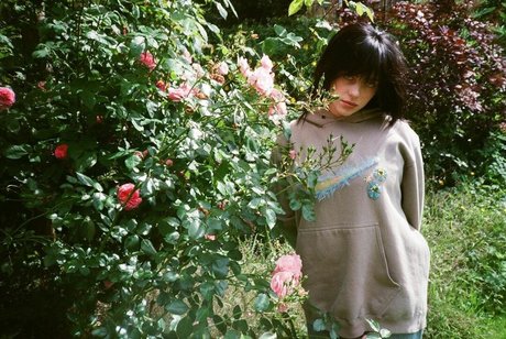 ポケモン オンリーファン 無料 画像