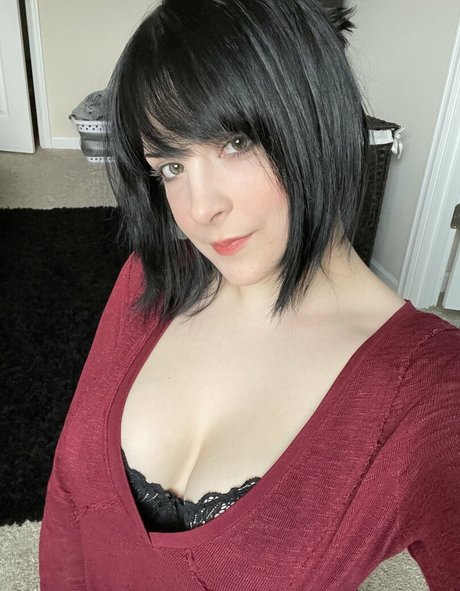 Hiso Neko 高品質のスター 写真